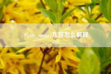 赵县九宫怎么解释