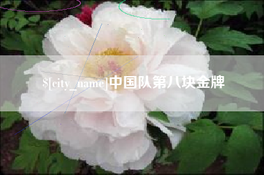 赵县中国队第八块金牌