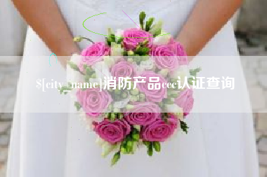 赵县消防产品ccc认证查询