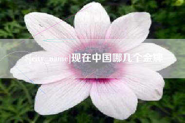 赵县现在中国哪几个金牌
