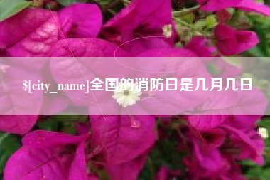赵县全国的消防日是几月几日