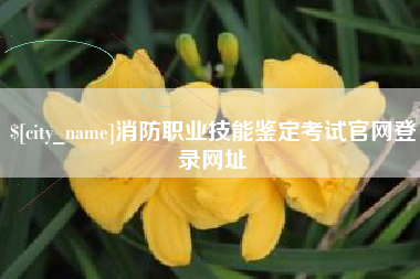 赵县消防职业技能鉴定考试官网登录网址