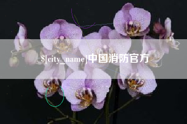 赵县中国消防官方