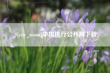 赵县中国执行公开网下载