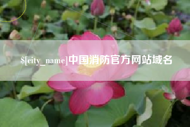 赵县中国消防官方网站域名