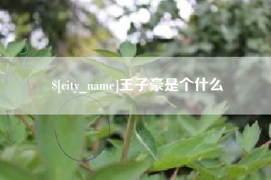 赵县王子豪是个什么
