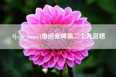 赵县奥运金牌第二个九宫格