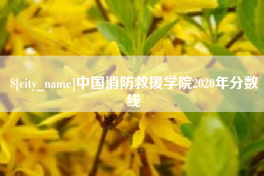 赵县中国消防救援学院2020年分数线