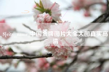 赵县中国金牌图片大全大图真实高清