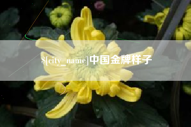 赵县中国金牌样子