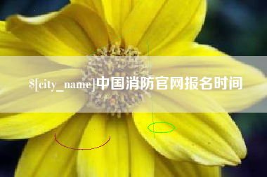 赵县中国消防官网报名时间