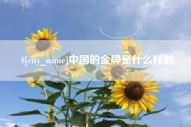 赵县中国的金牌是什么样的