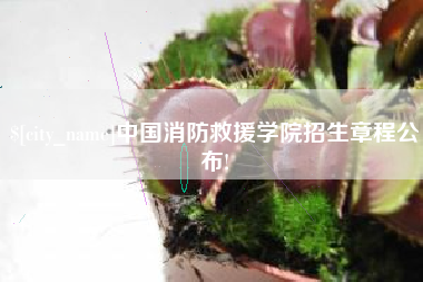 赵县中国消防救援学院招生章程公布!