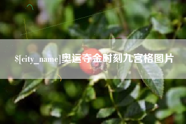 赵县奥运夺金时刻九宫格图片