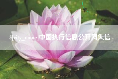 赵县中国执行信息公开网失信
