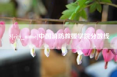 赵县中国消防救援学院分数线