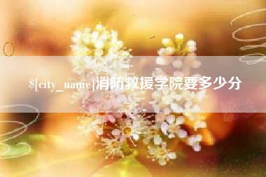 赵县消防救援学院要多少分