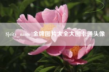 赵县金牌图片大全大图卡通头像