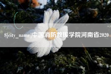 赵县中国消防救援学院河南省2020